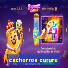 cachorros cururu